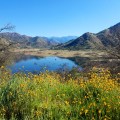 Kaweah Lake beside the Horse Creek campground.